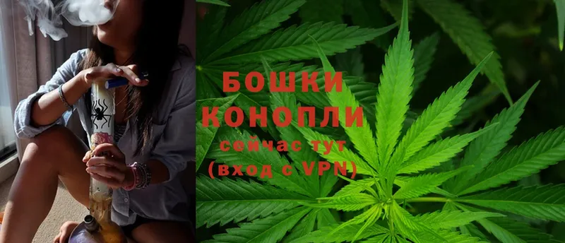 Шишки марихуана Ganja  Нестеров 